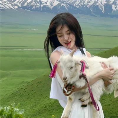 费德勒:最后的12天